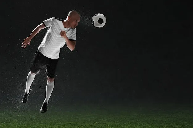 下载与登录示意图